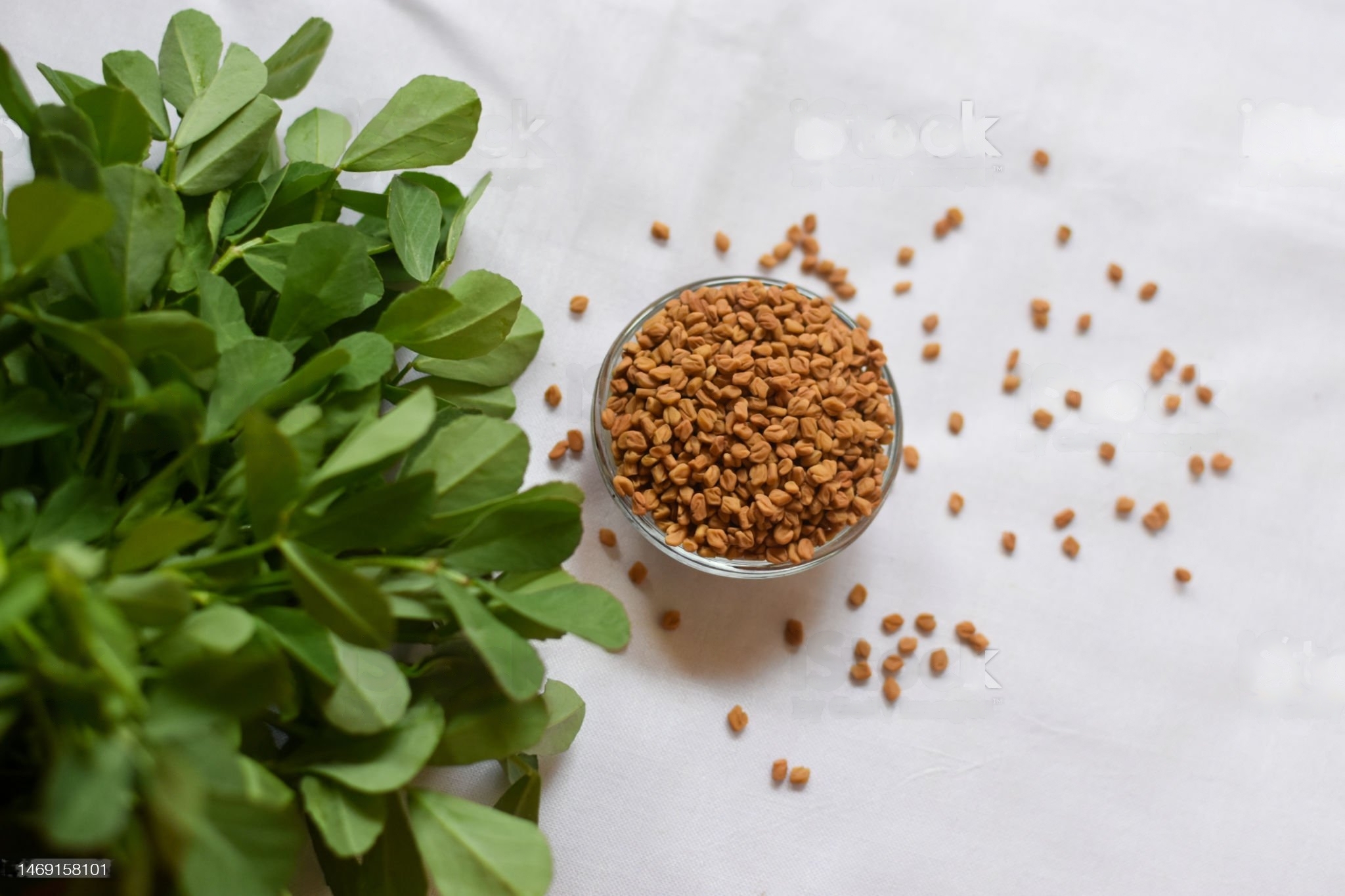 fenugreek-methi-information